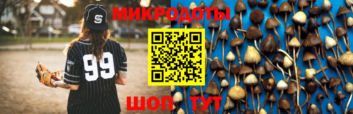Ставрополь  Псилоцибиновые грибы Magic Shrooms  Псилоцибиновые грибы Magic Shrooms  Вход с VPN 